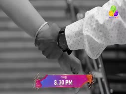 Crocodile Love Story