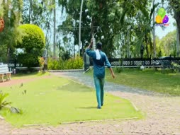 Flowers Top Singer 6