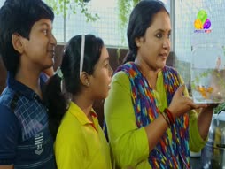 Flowers Top Singer 6