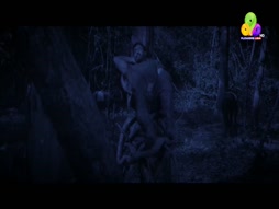 Flowers Comedy Golden Moments