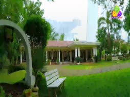 Flowers Comedy Golden Moments