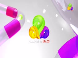 Flowers Top Singer 6