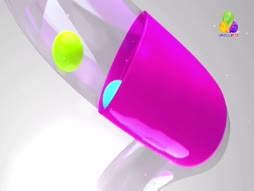 Flowers Top Singer 6