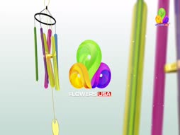 Flowers Top Singer 6