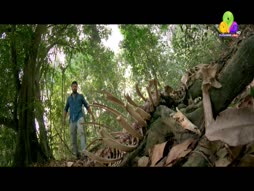 Flowers Top Singer 6