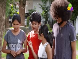 Flowers Top Singer 6