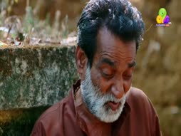 Flowers Comedy Golden Moments