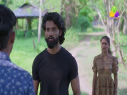 Flowers Comedy Golden Moments