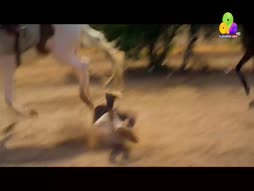 Flowers Comedy Ith Item Vere