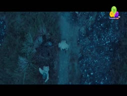 Flowers Top Singer 6 Vishu Special