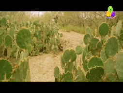 Flowers Comedy - Ithu Item Vere