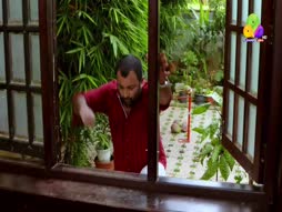 Flowers Comedy Golden Moments