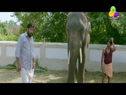 Uppum Mulakum