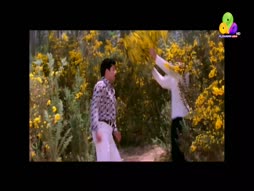 Uppum Mulakum