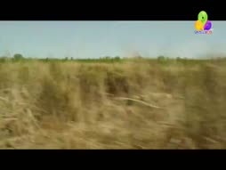 Thirupaachi