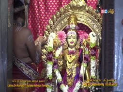 Vanakkam Thainaadu