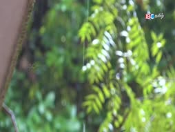 Pattam Poochi Kaalam