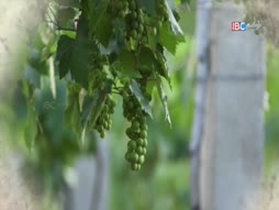 Aaniye Pudunga Venam