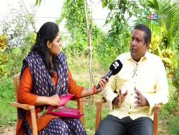 Saattai