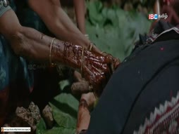 Kollywood Pakkam
