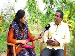 Saattai