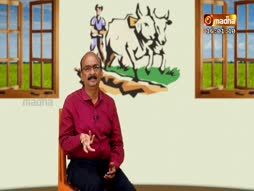 Blessing Of ST. Michael Church, Andavurani, Sivagangai