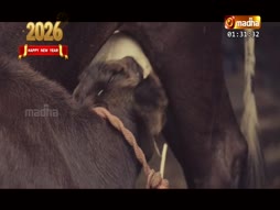 Christmas Geethangal