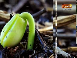 Vazhvu Tharum Iraivarthai