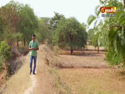 Christmas Geethangal