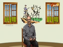 Kannana Kanmanigaley