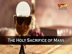 Holy Mass English