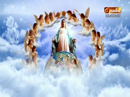 SHJ Rosary
