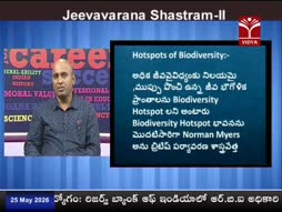 Program@11:30