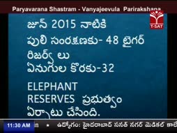 Program@11:30