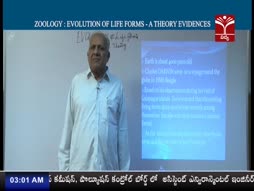 Program@03:00
