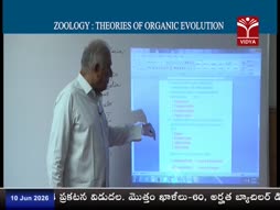 Program@04:00