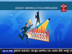 Program@18:30
