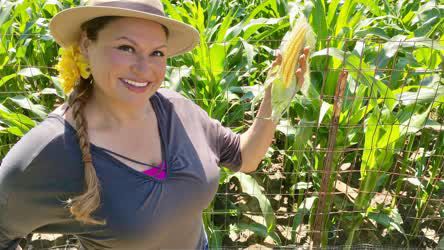 Grow Summer Corn at Home