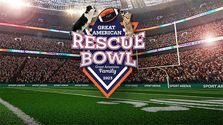 Great American Rescue Bowl