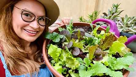 How to Grow Fall Lettuce