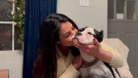 Dog Adoption: Lana
