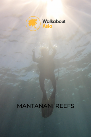 Mantani Reef
