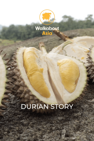 Durian Story