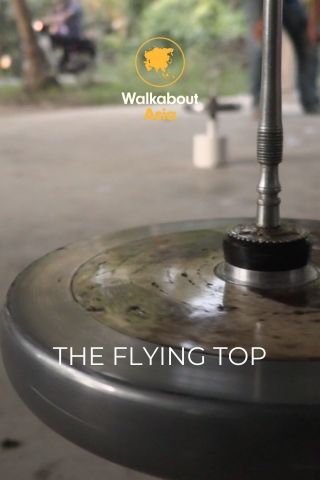 The Flying Top