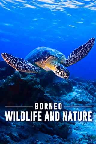 Borneo Wildlife and Nature