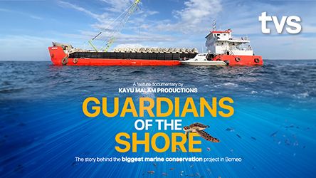 Guardian Of The Shore