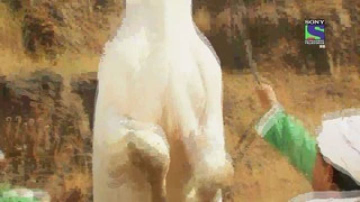 Afghans start shooting arrows at Pratap