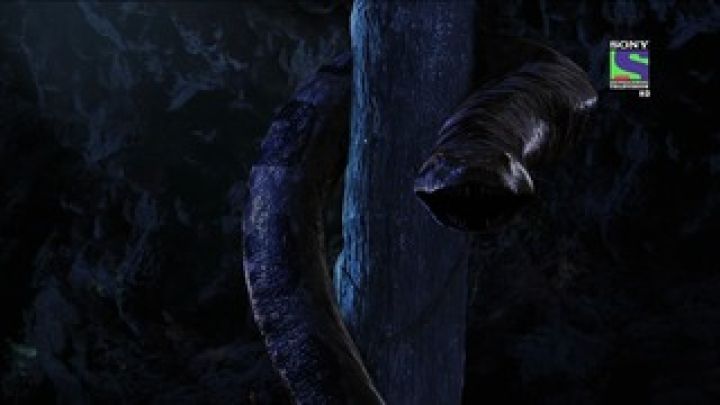 Peer predicts Akbar's future