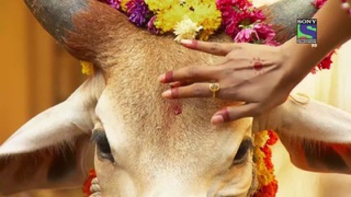 Bhatiyani Does Jagmal's Coronation