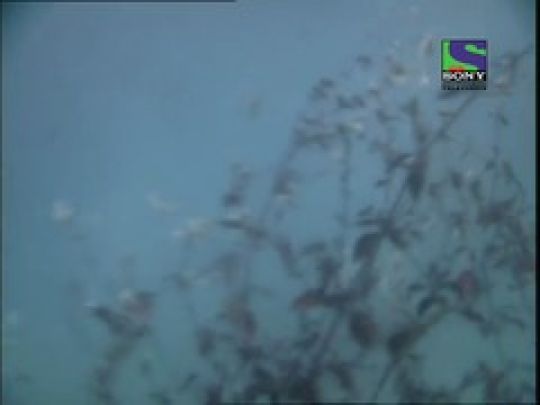 Water Demons - Part I